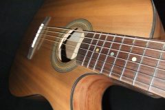 DSCF02740-e1660249163236