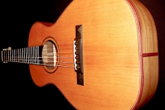 terz41